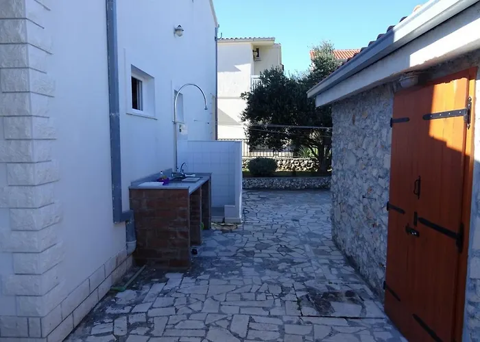 Elite 로고즈니차